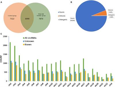 Differential Expression and Bioinformatics Analysis of CircRNA in PDGF-BB-Induced Vascular Smooth Muscle Cells